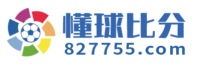 懂球比分 Logo