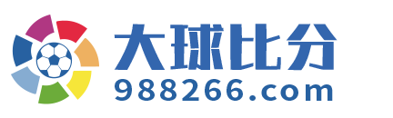 大球比分 Logo