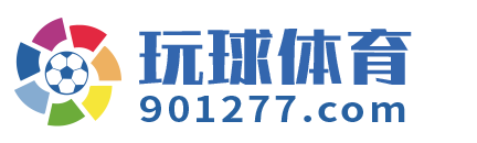 玩球体育 Logo