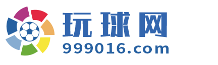 玩球网 Logo