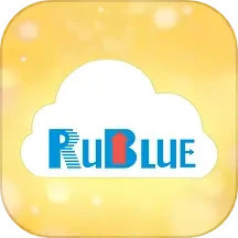 蓝蕊并网Ruiblue Power