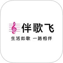 伴歌飞