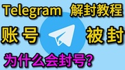  Telegram消息推送及应用场景分析