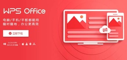  WPS Office 中的图形处理功能解析