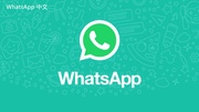  WhatsApp与电子邮件：何时使用哪一个？