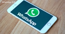  WhatsApp商业账户设置步骤