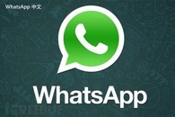  WhatsApp和Zoom的结合使用策略  