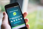  WhatsApp隐私政策解析