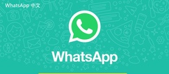  制定WhatsApp品牌策略的最佳实践  