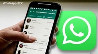  WhatsApp的多媒体消息发送技巧  